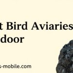 Best Bird Aviaries Outdoor