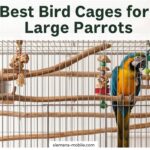 Best Bird Cages for Large Parrots