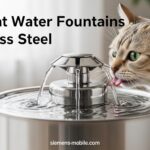 Best Cat Water Fountains Stainless Steel