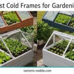 Best Cold Frames for Gardening