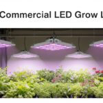 Best Commercial LED Grow Lights