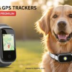 Best Dog GPS Trackers Premium