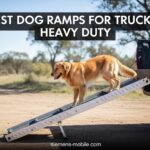 Best Dog Ramps for Trucks Heavy Duty