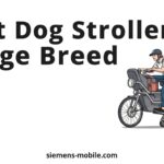 Best Dog Stroller Large Breed