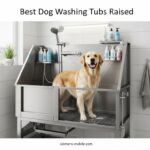 Best Dog Washing Tubs Raised