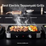 Best Electric Teppanyaki Grills