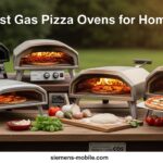 Best Gas Pizza Ovens for Home