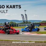 Best Go Karts Gas Adult