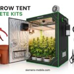 Best Automatic Plant Waterers Indoor