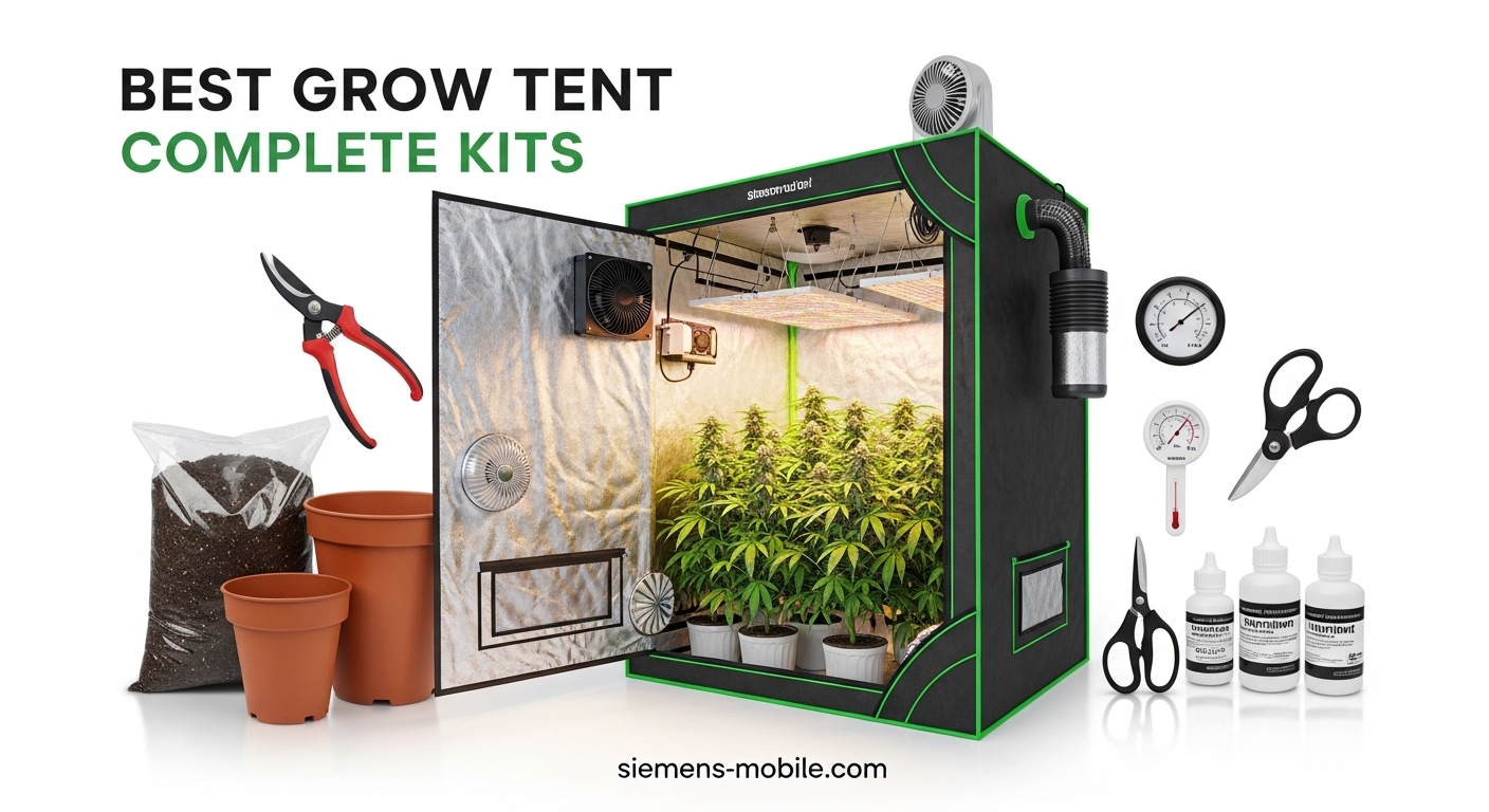 Best Automatic Plant Waterers Indoor
