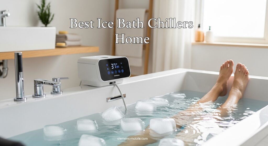 Best Ice Bath Chillers Home