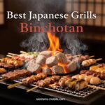 Best Japanese Grills Binchotan