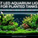 Best LED Aquarium Lights for Planted Tanks