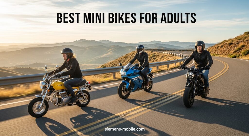 Best Mini Bikes for Adults