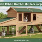 Best Rabbit Hutches Outdoor Large
