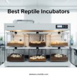 Best Reptile Incubators