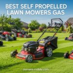 Best Self Propelled Lawn Mowers Gas