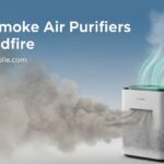 Best Smoke Air Purifiers for Wildfire