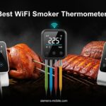 Best WiFi Smoker Thermometers