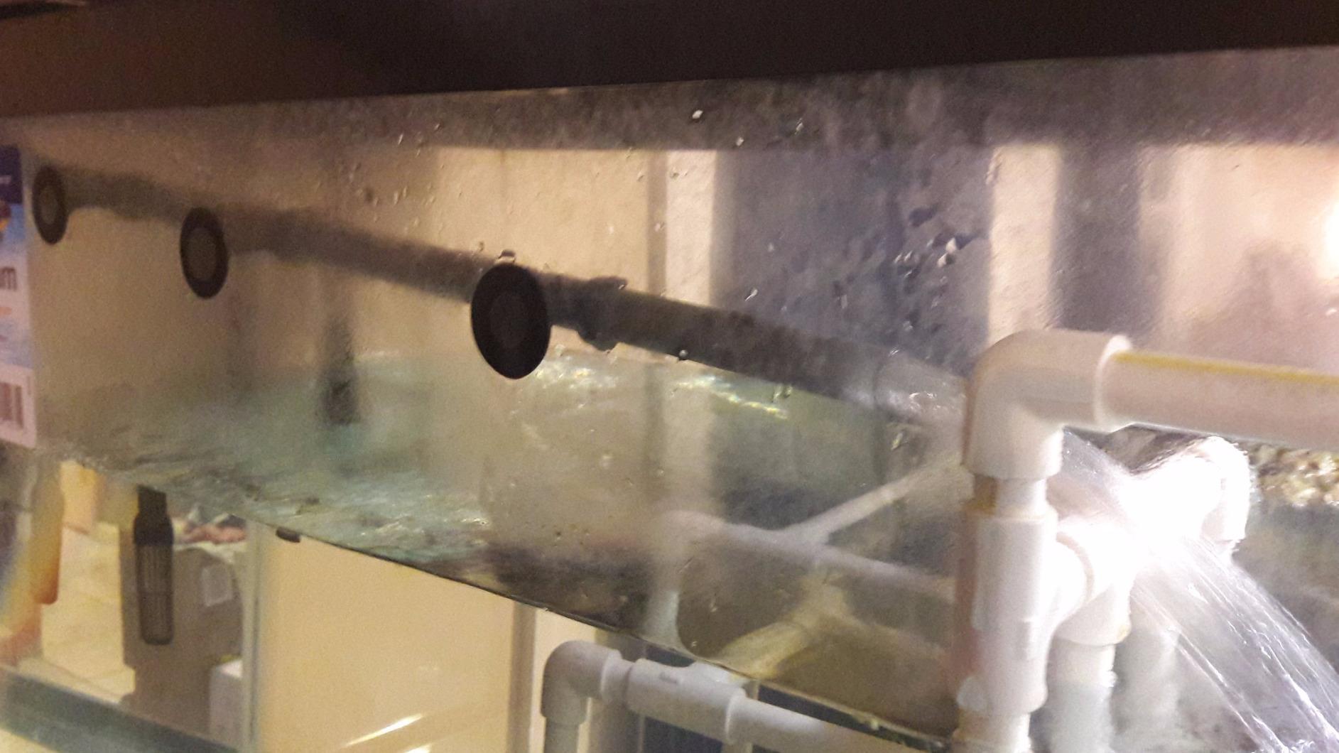 Penn-Plax Cascade 500 Canister Filter - 115 GPH Aquarium Filter for Tanks Up to 30 Gallons - 360 Degree Flow Valves, Poly Fiber Pads, Bio-Sponge & Activated Carbon -Fresh & Saltwater -11.5x9x13.5in customer photo 2