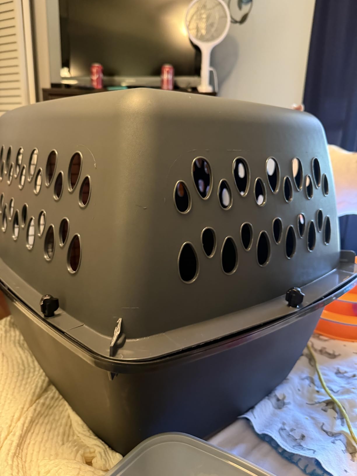 Petmate Pet Porter Fashion Dog Kennel Plastic Crate for Pets 15-20 lbs, Pet Carrier For Home and Travel, Made in USA, 24