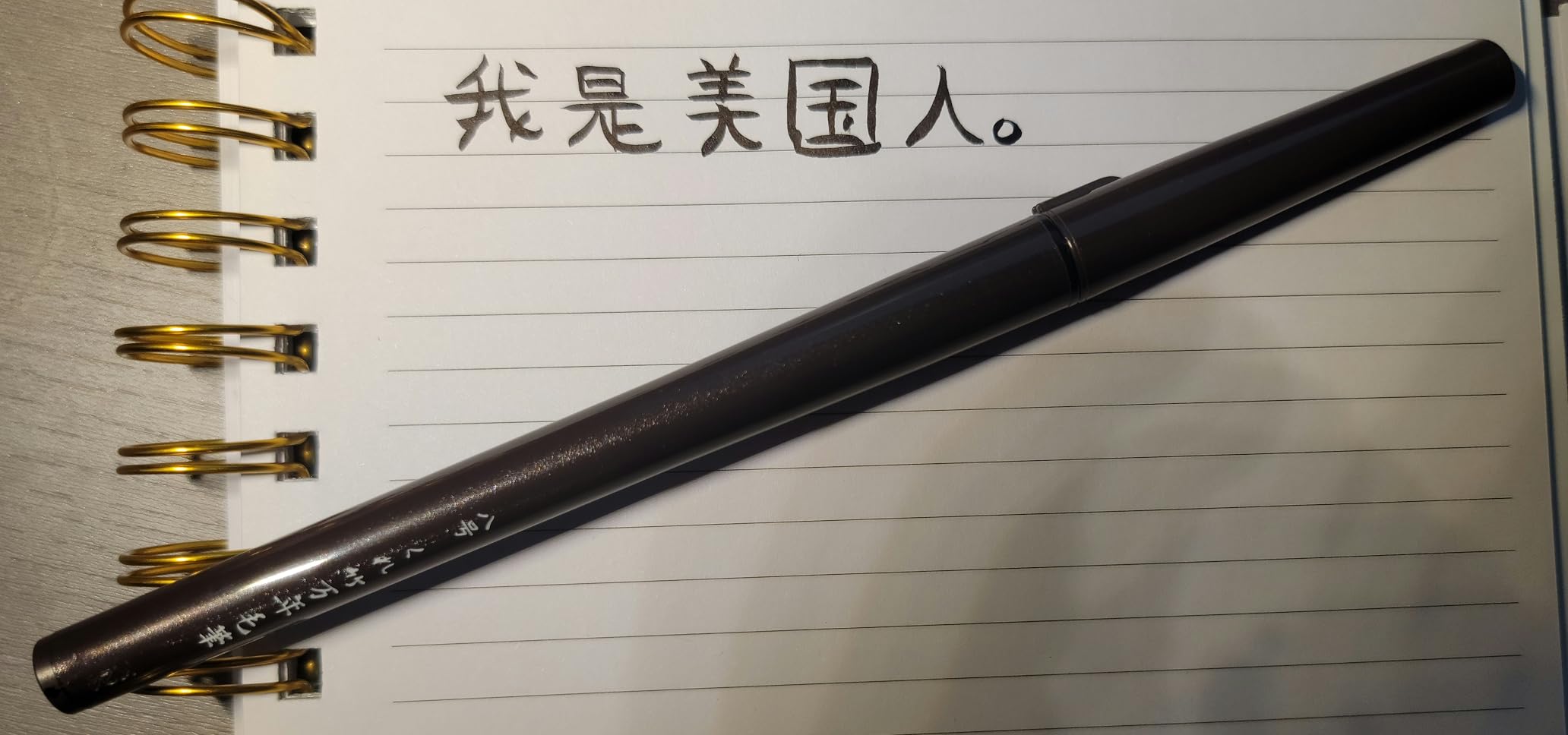 Kuretake Fountain Brush Pen TAKUJO (No.8), Black Ink, for Calligraphy, Manga, Drawing, Professional, Artist, Made in Japan customer photo 1