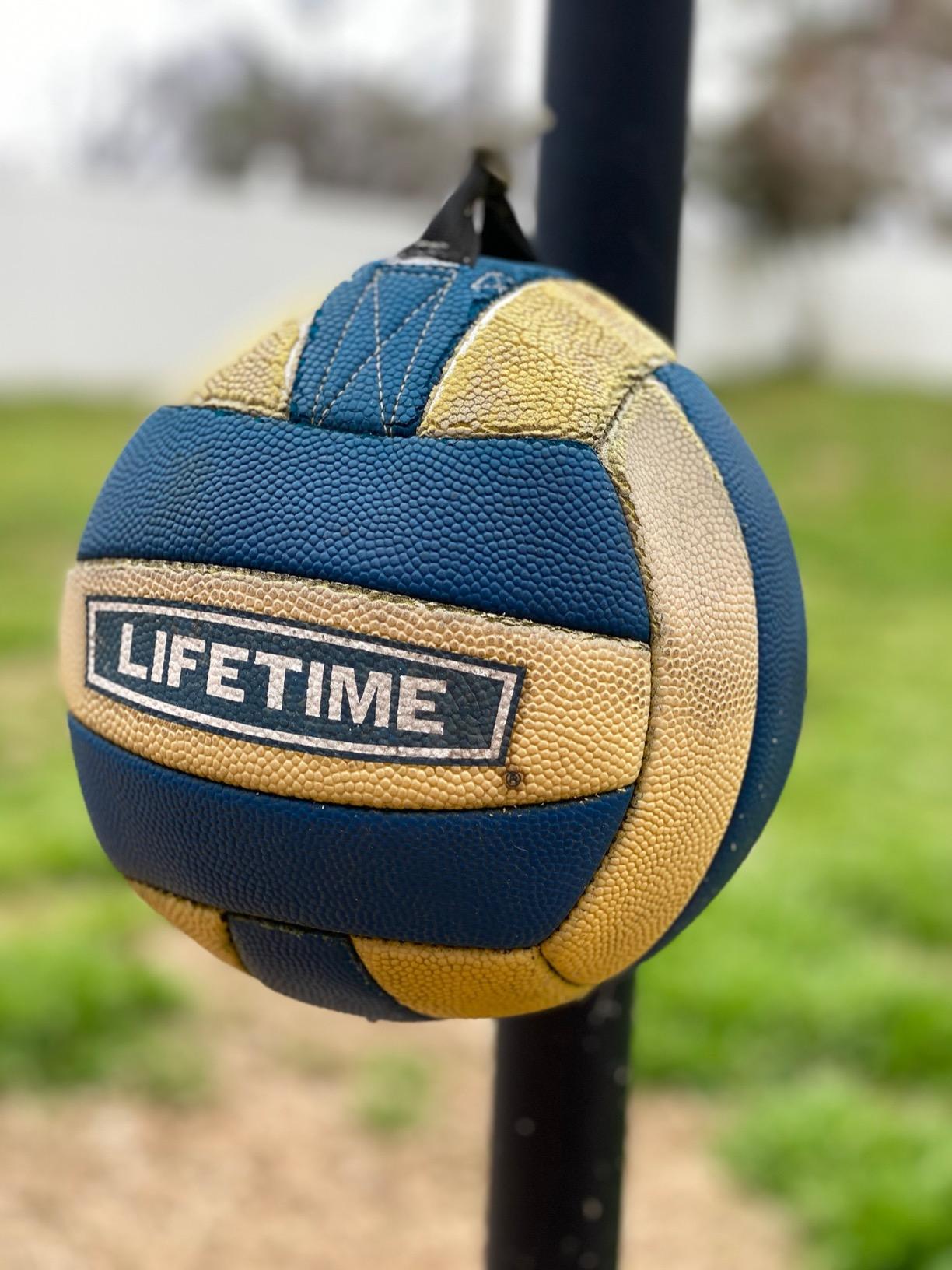 Lifetime 90029 Portable Tetherball System customer photo 1