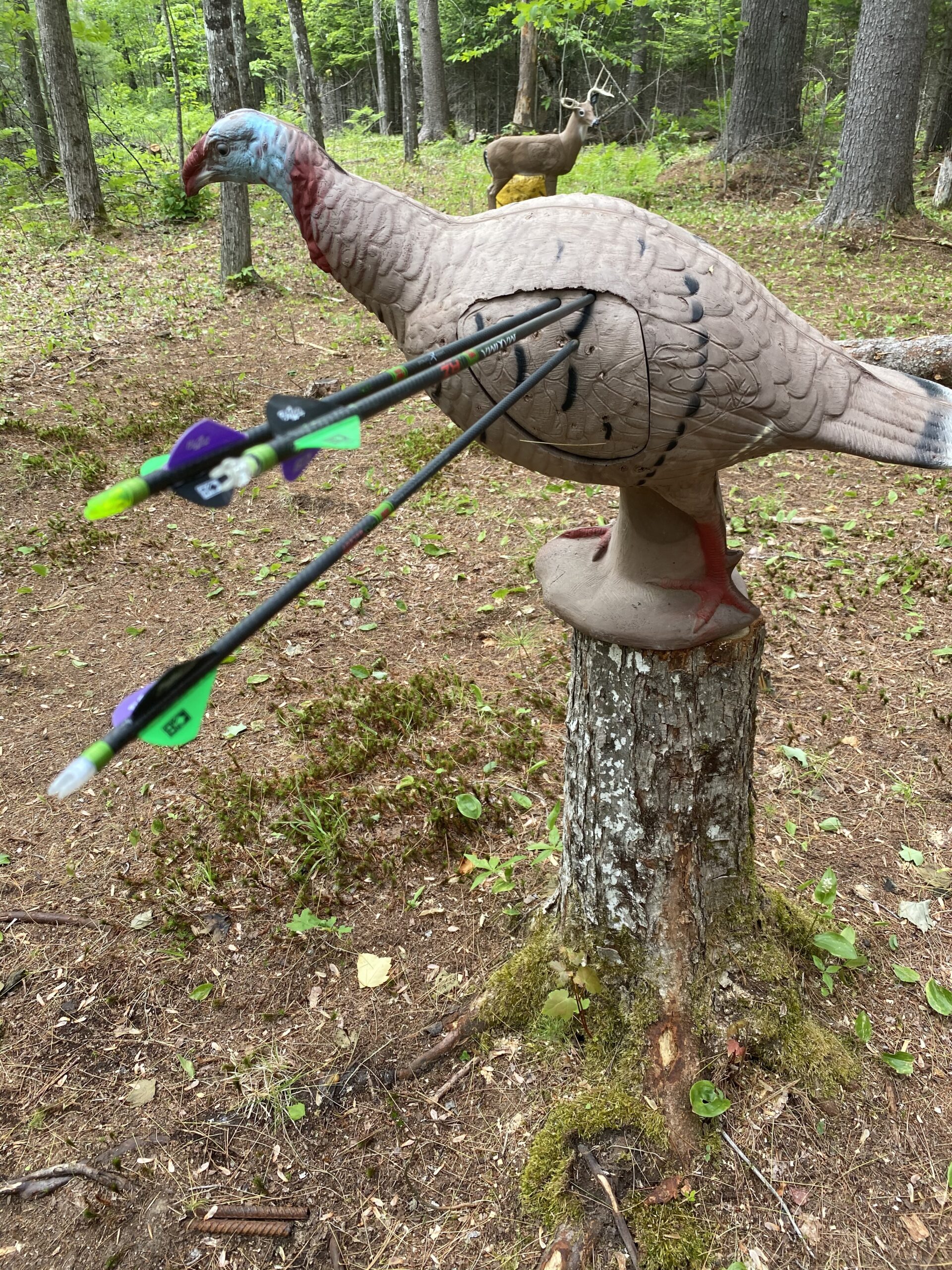 Rinehart Signature Tom Turkey 3D Archery Target customer photo 1