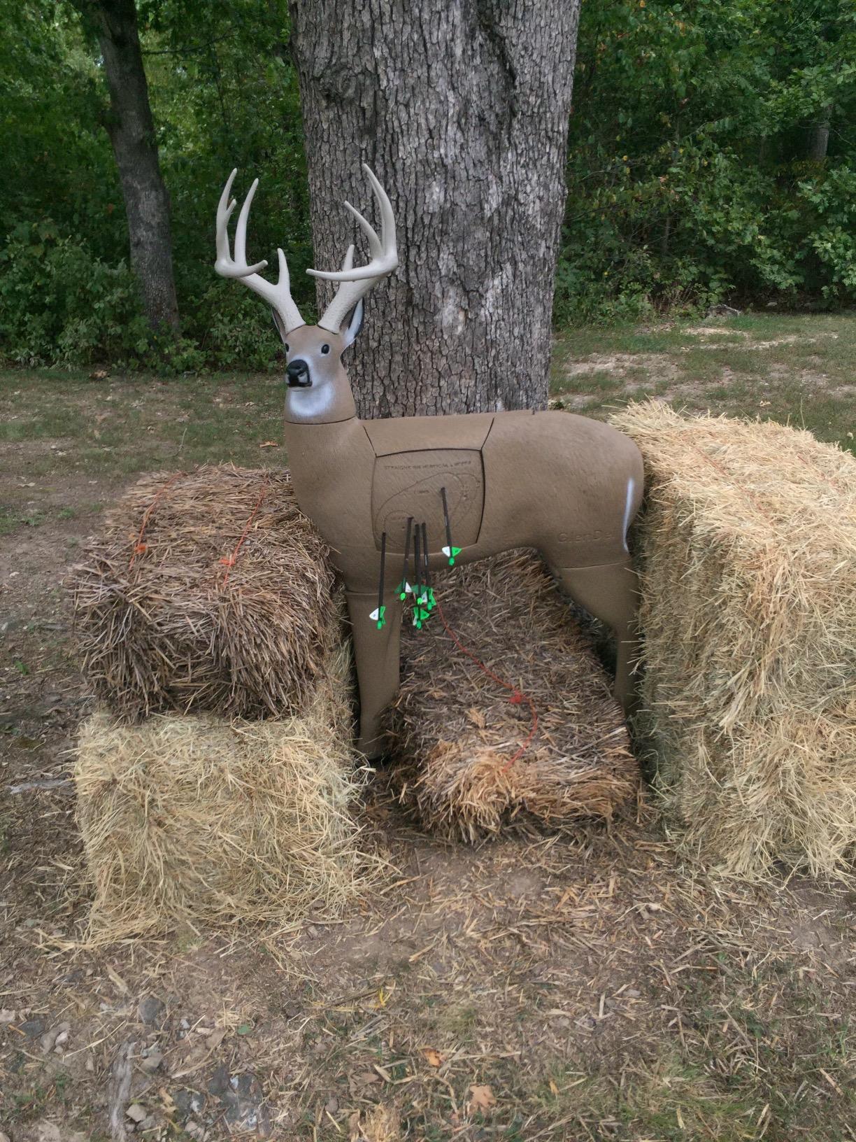 GlenDel Target Buck with 4-Sided Insert customer photo 1