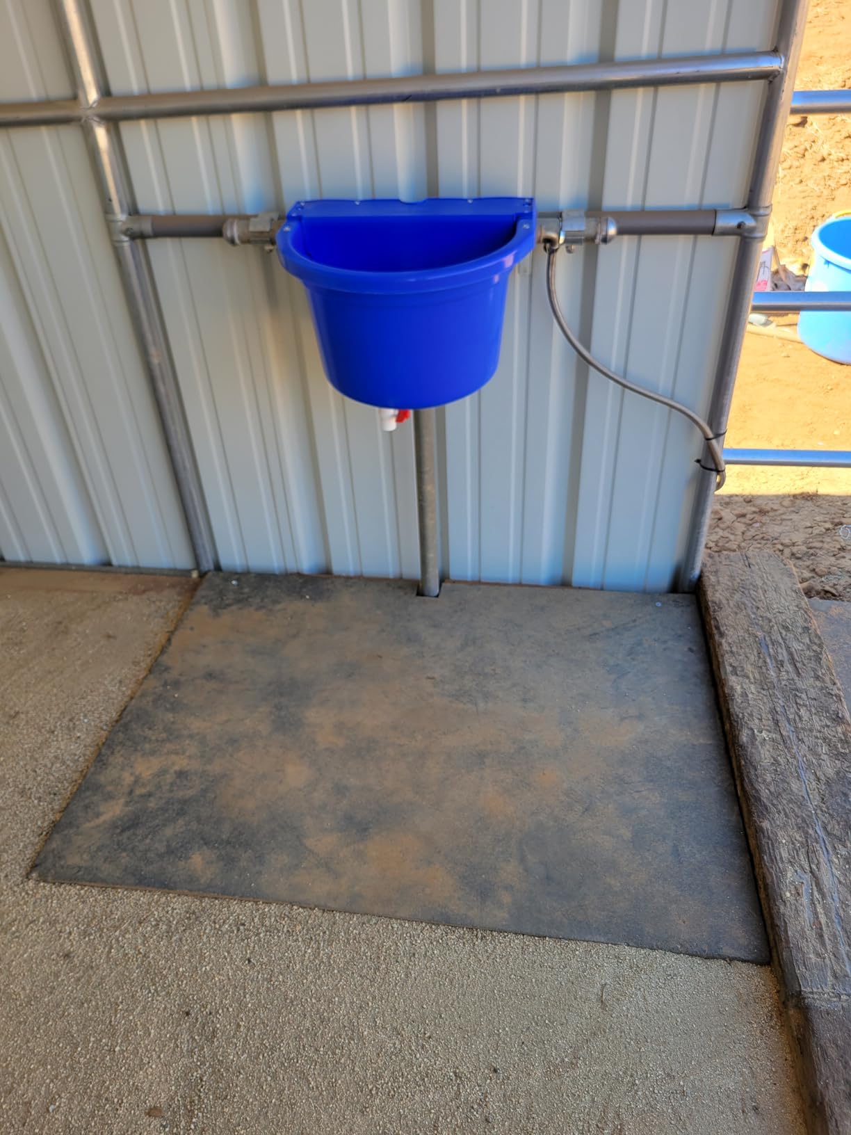 Little Giant Automatic Animal Waterer | DuraMate Float Controlled Automatic Waterer for Livestock | Heavy Duty and Durable | 4 Gallon customer photo 2