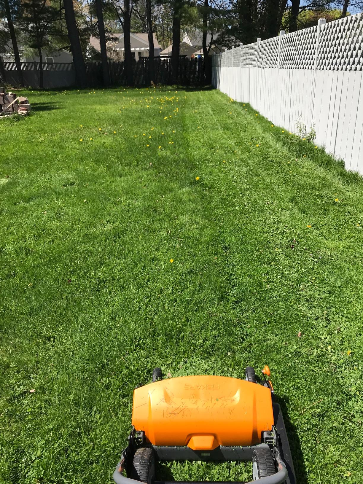 Fiskars Push Mower - 17