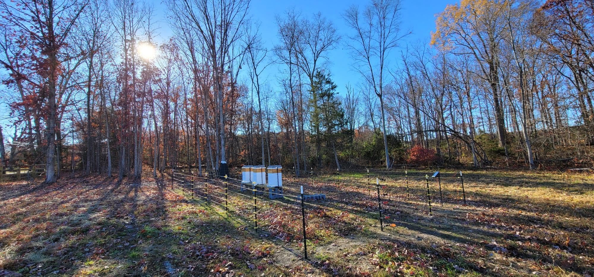 Zareba Solar Powered Electric Fence Charger - 10 Mile Low Impedance Fence Energizer for Cattle, Horses, Goats, & Livestock, 0.15 Output Joules, Built-in Mounting Bracket for Posts, ESP10M-Z customer photo 1