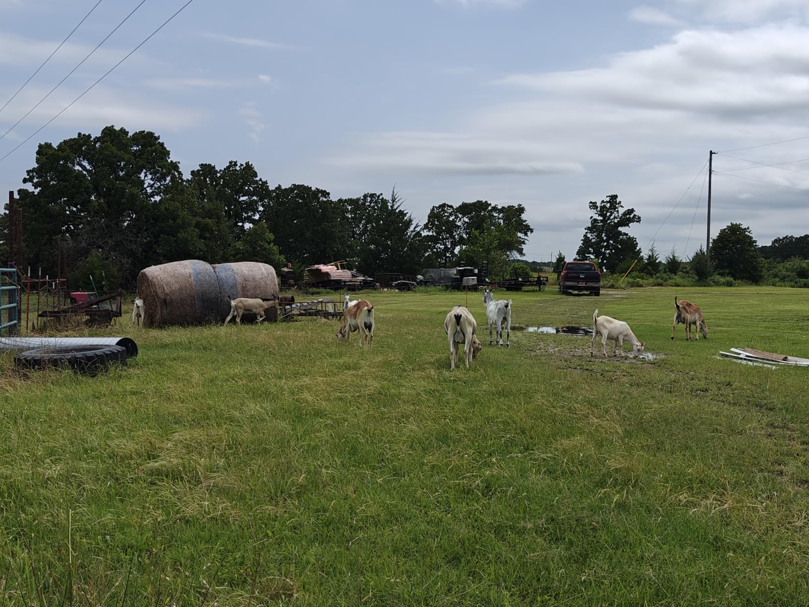 Gallagher Smart Fence 2 - Portable Electric Fence for Livestock Containment - Quick Install Temporary Field Fencing - 328ft of 4-Strand Electric Fencing with Built-in Posts and Reels customer photo 1