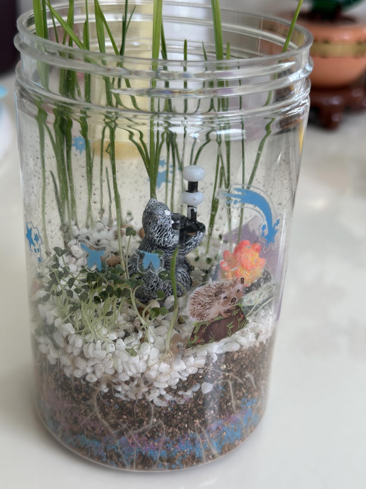 Creativity for Kids Grow 'N Glow Terrarium Kit - Educational Science Kit for Kids Ages 6+ customer photo 1
