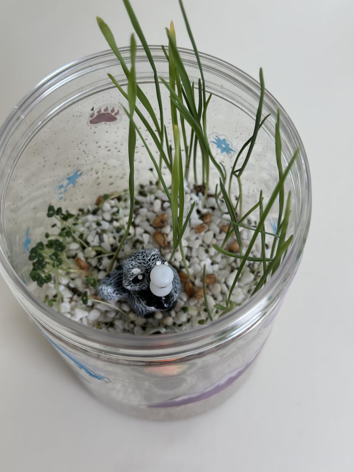 Creativity for Kids Grow 'N Glow Terrarium Kit - Educational Science Kit, Spring Crafts for Kids, STEM Projects (Ages 6+) customer photo 2
