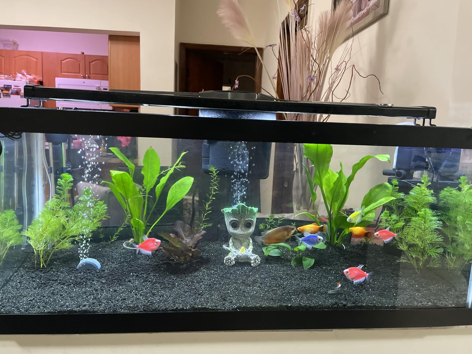 Fluval 12694 Plant and Shrimp Stratum for Freshwater Fish Tanks, 8.8 lbs. - Aquarium Substrate for Strong Plant Growth, Supports Neutral to Slightly Acidic pH customer photo 1