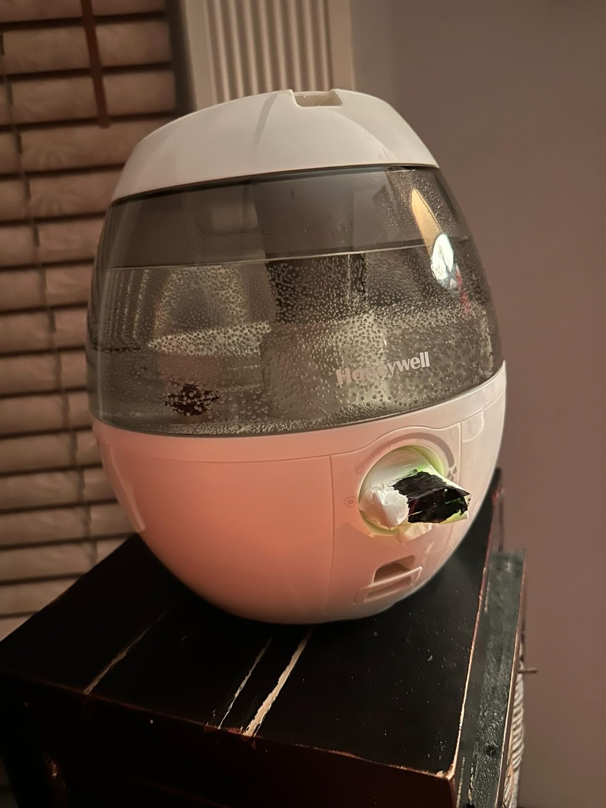Honeywell HUL520B MistMate Cool Mist Humidifier Black With Easy Fill Tank & Auto Shut-Off, For Small Room, Bedroom, Baby Room, Office customer photo 2