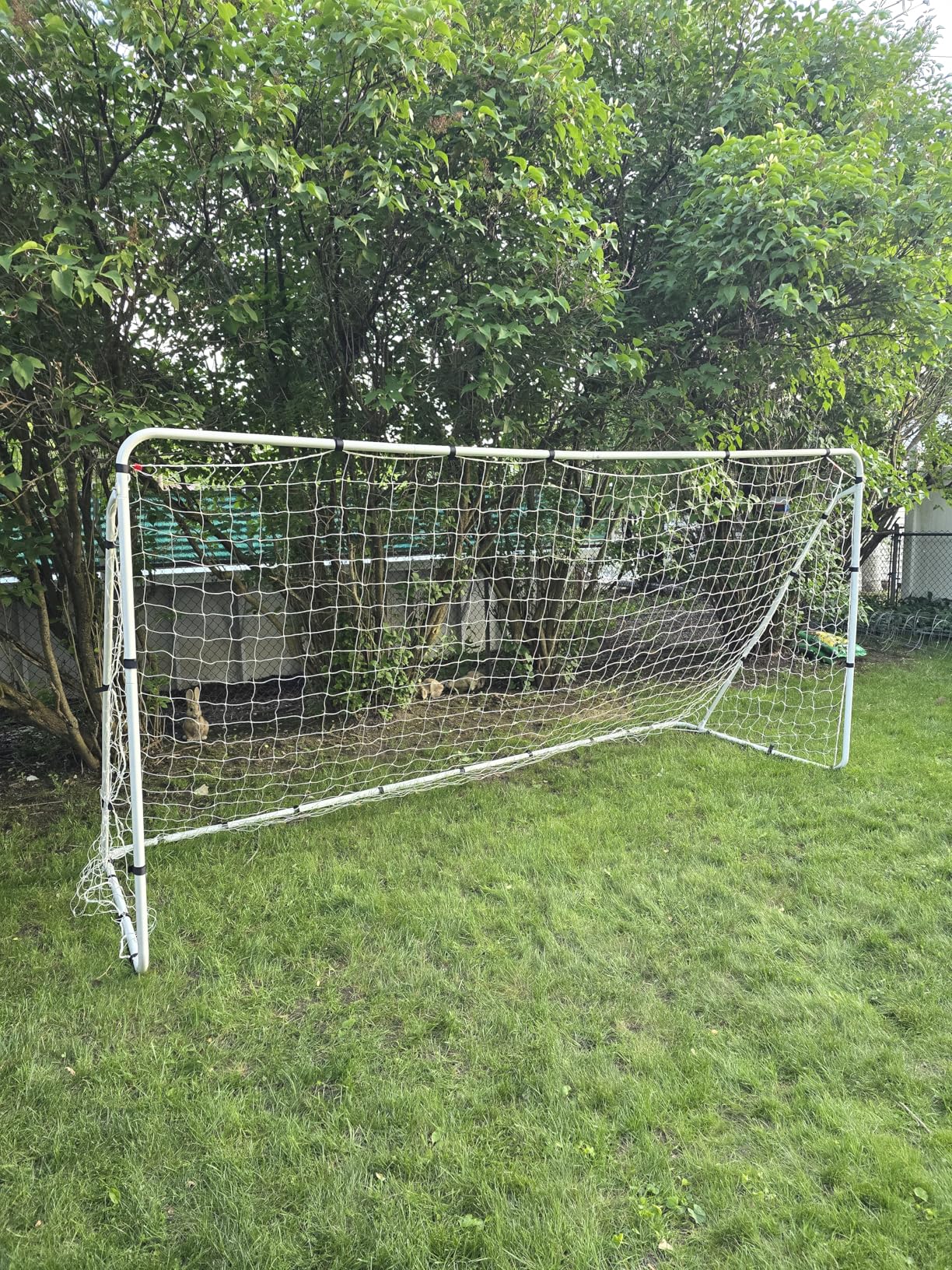 ZENY Portable Soccer Goal for Backyard, 12x6 / 10x6.5 / 8x5 / 6x4 ft Youth Adults Soccer Net and Frame for Home Backyard Practice Training Goals customer photo 2