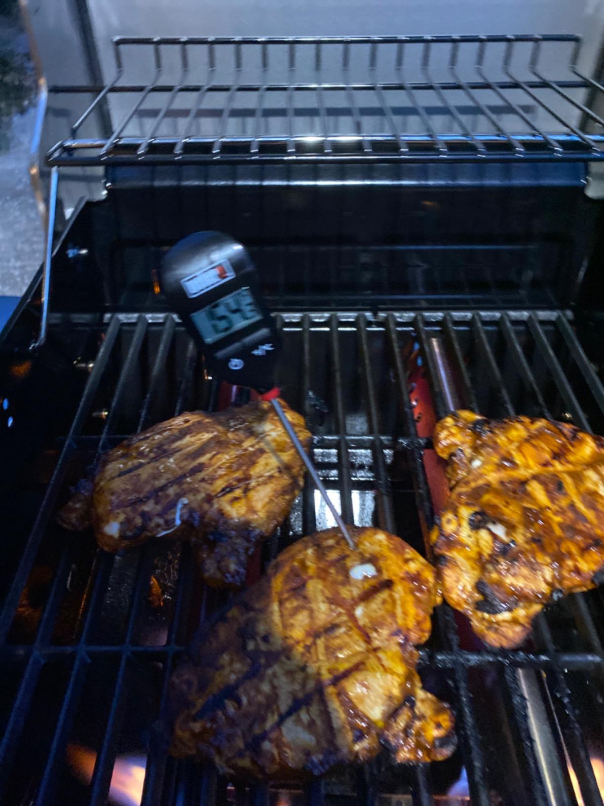 Weber Instant-Read Thermometer Probe, Black/Silver - Fast Digital Grill & Kitchen Thermometer with 15-Second Readout customer photo 1