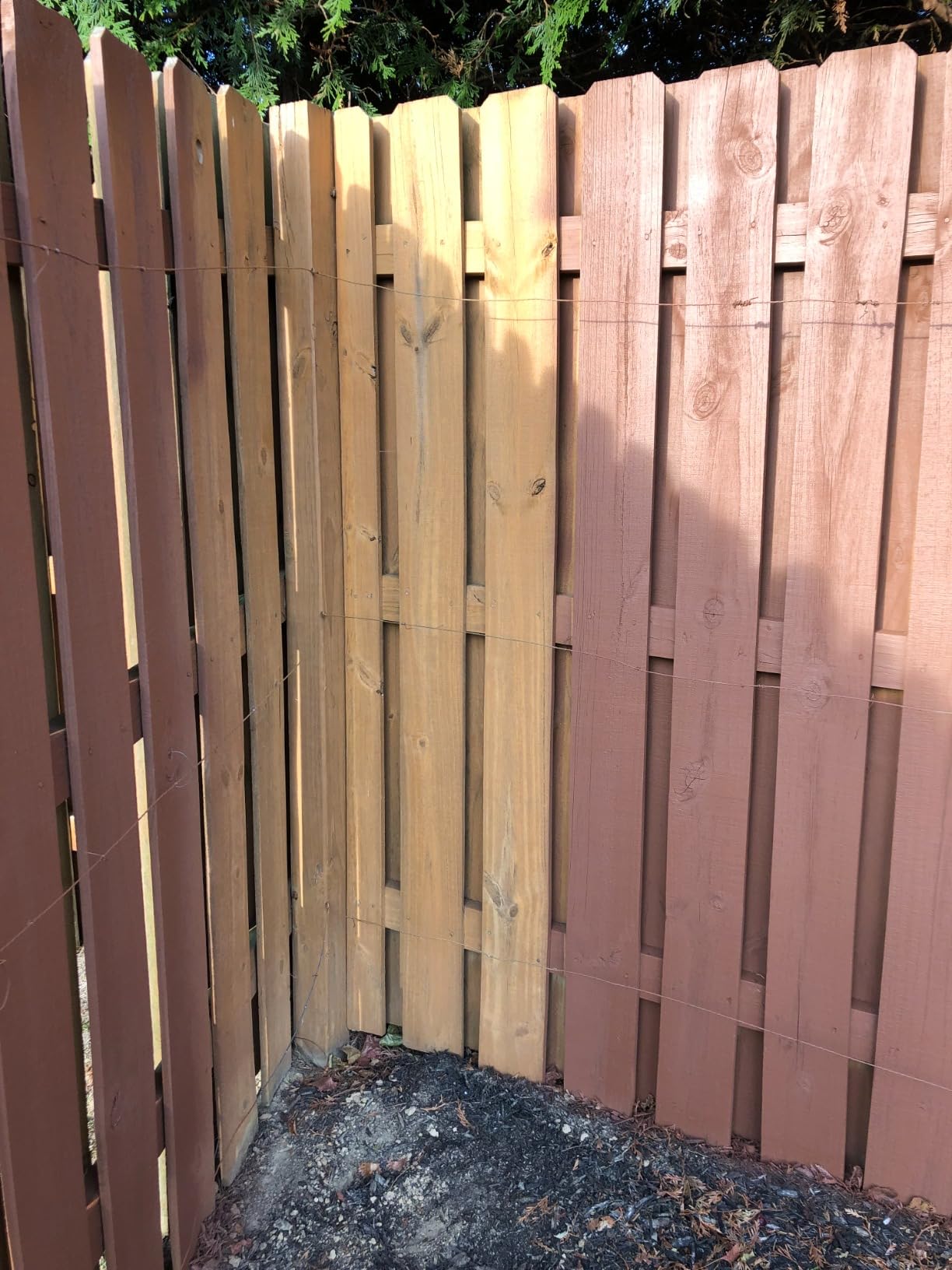 Wagner Control Spray 250 customer photo 1