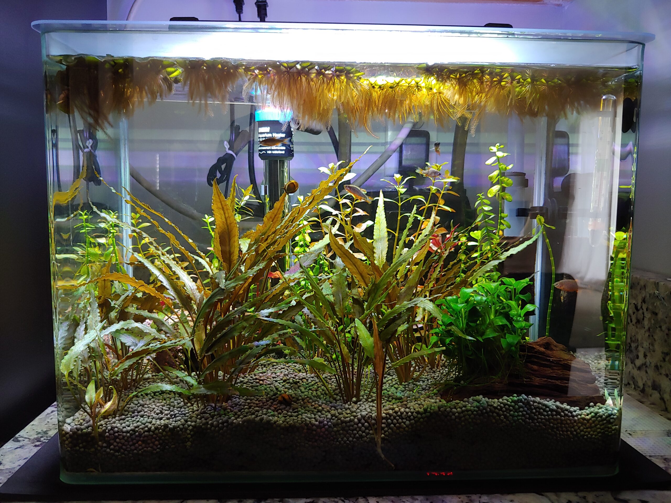 CaribSea Dry Packed Substrate Samurai Soil 9lb for Shrimp and Planted Aquaria customer photo 2