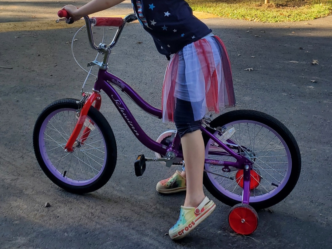 Schwinn Elm Bike, 18 Inch Bike for Kids Ages 5-9, SmartStart Ergonomic Design for Kids, Adjustable Seat Grows with your Child, Rear Coaster Brake and Front Caliper Brake, Training Bicycle customer photo 2