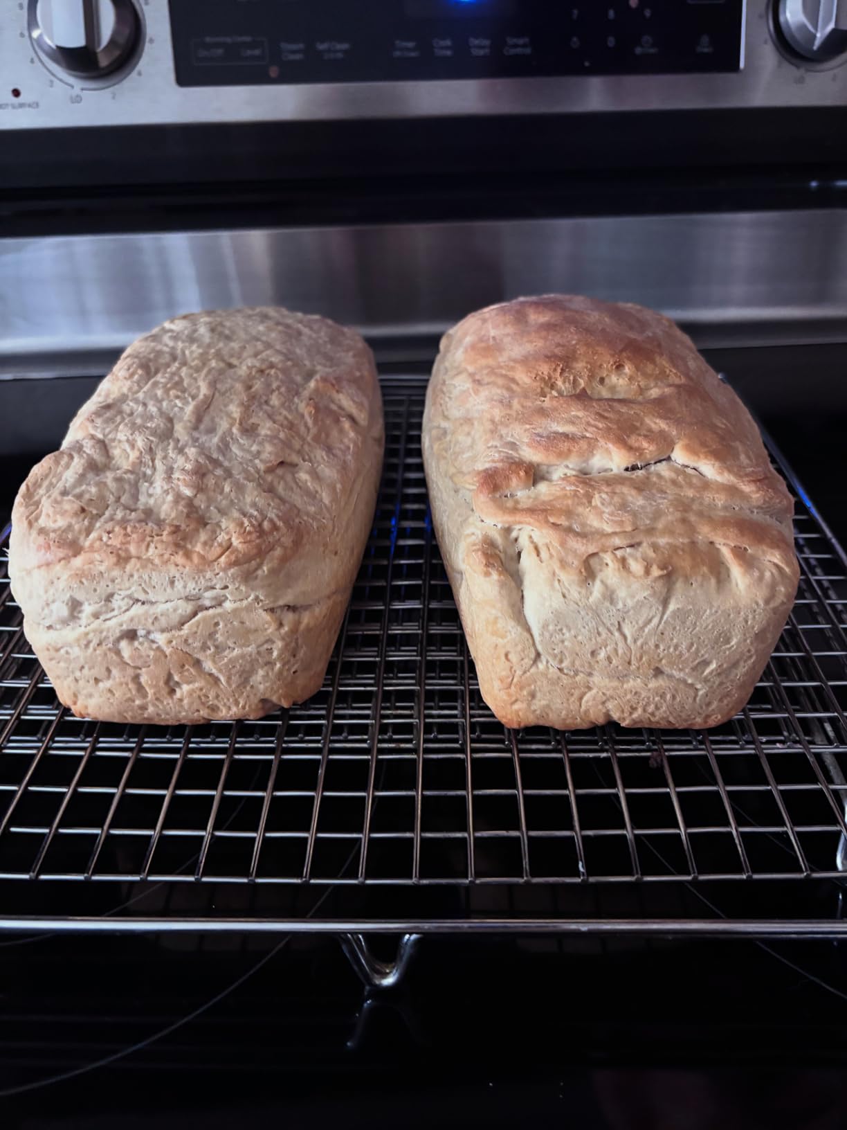 SILIVO Silicone Bread and Loaf Pans (2 Pack) - Nonstick Silicone Baking Mold customer photo 1