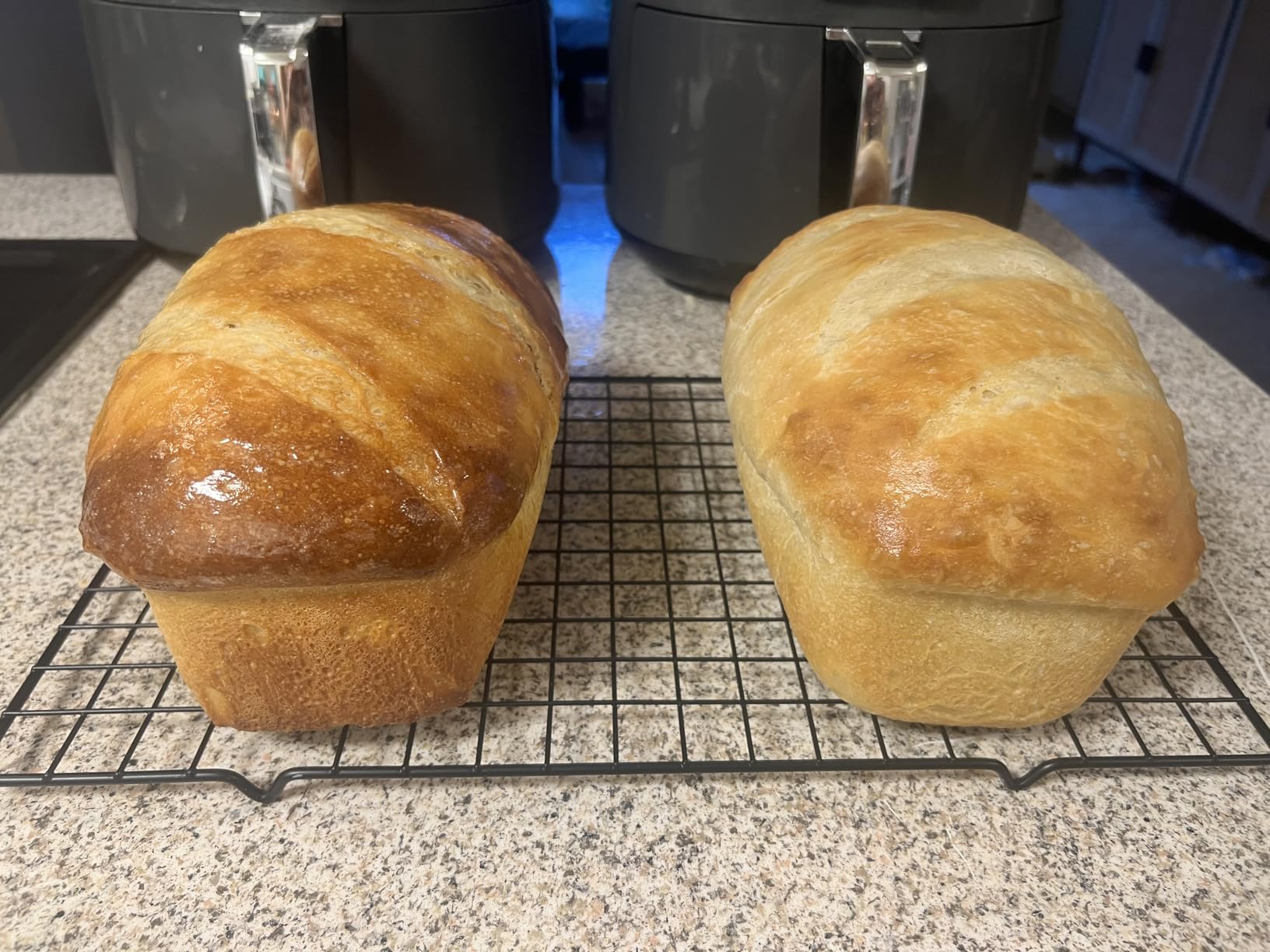 SILIVO Silicone Bread and Loaf Pans (2 Pack) - Nonstick Silicone Baking Mold customer photo 2