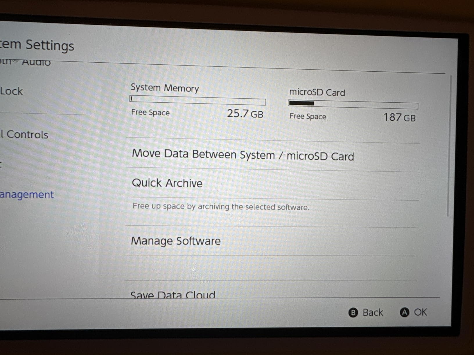 Silicon Power 256GB Micro SD Card U3 SDXC Up to 100MB/s High Speed Memory Card with Adapter for Nintendo-Switch, Cams and Drones customer photo 1