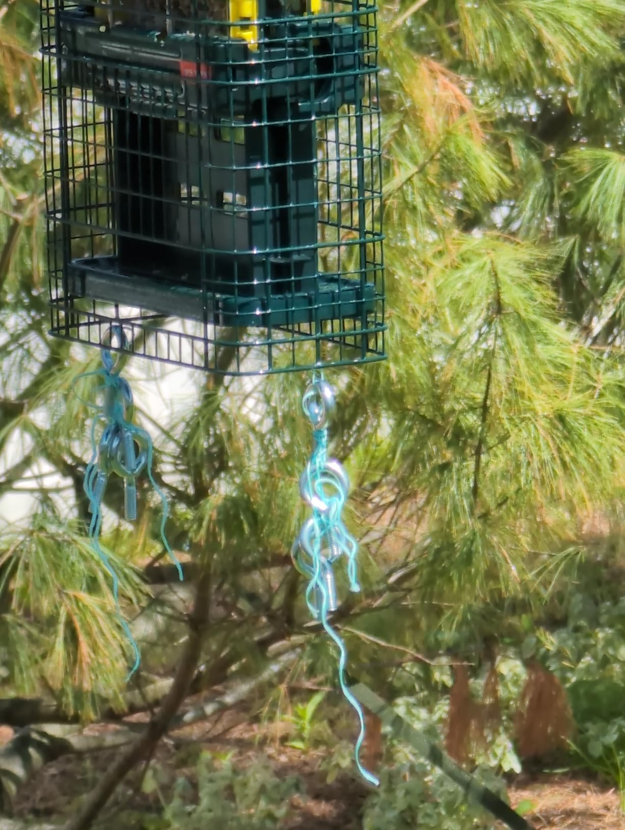 Brome Squirrel Buster Suet Squirrel-Proof Suet Bird Feeder with Two Suet Cake Trays, Two Crumb Ports, Mess-Free Suet Loading customer photo 1