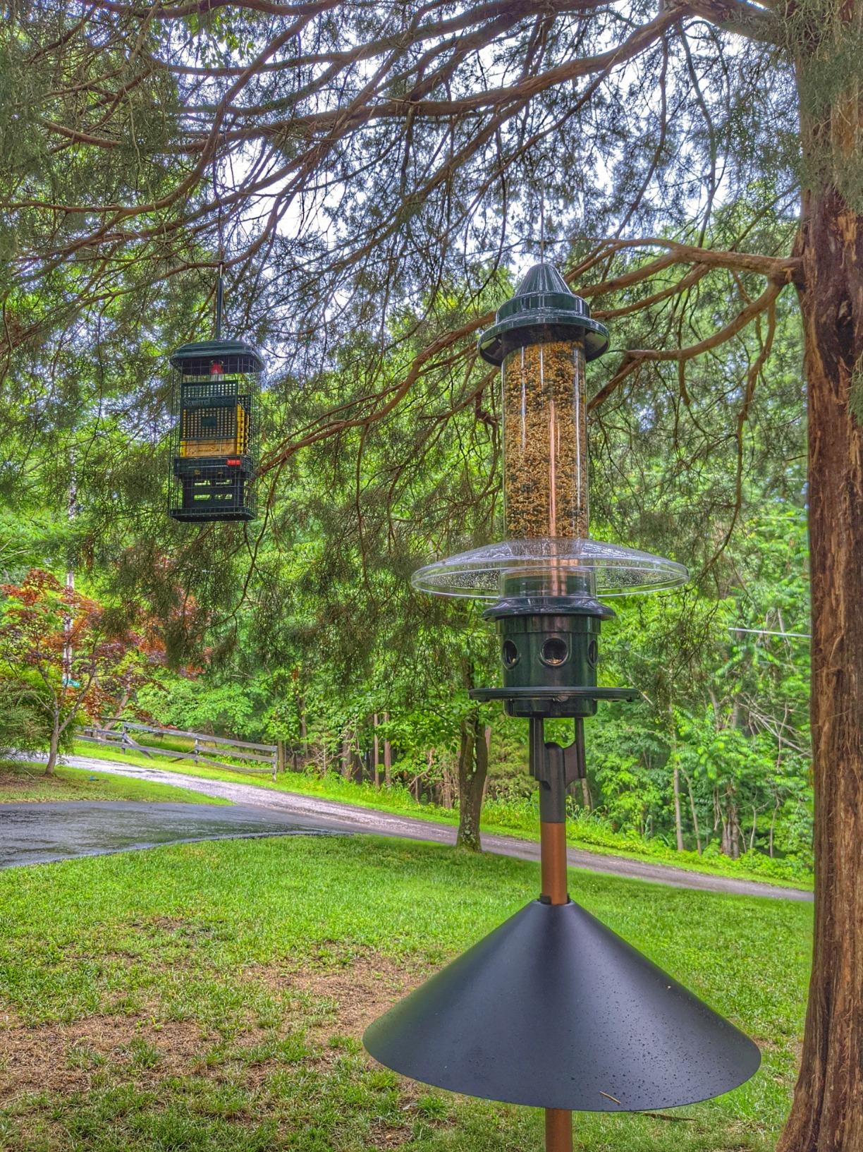 Brome Squirrel Buster Suet Squirrel-Proof Suet Bird Feeder with Two Suet Cake Trays, Two Crumb Ports, Mess-Free Suet Loading customer photo 2