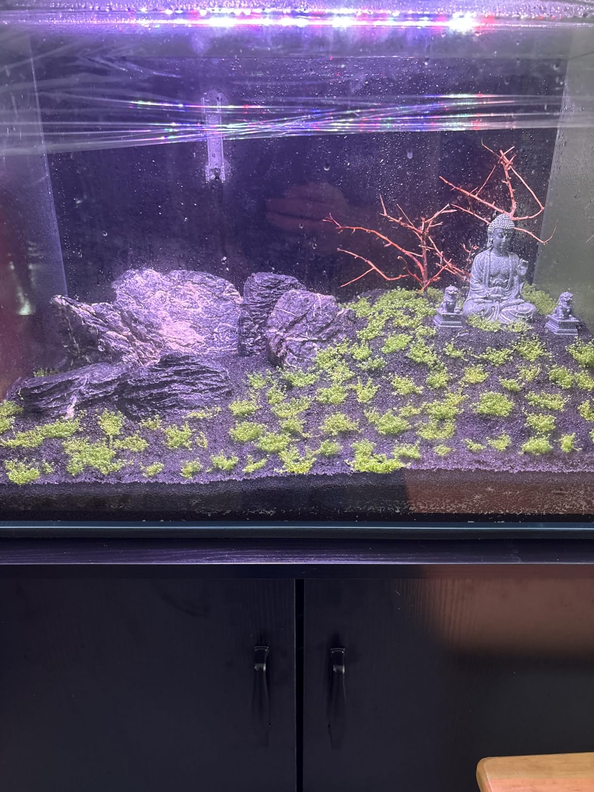 ADA Aqua Soil Amazonia Ver 2 (9L) customer photo 2