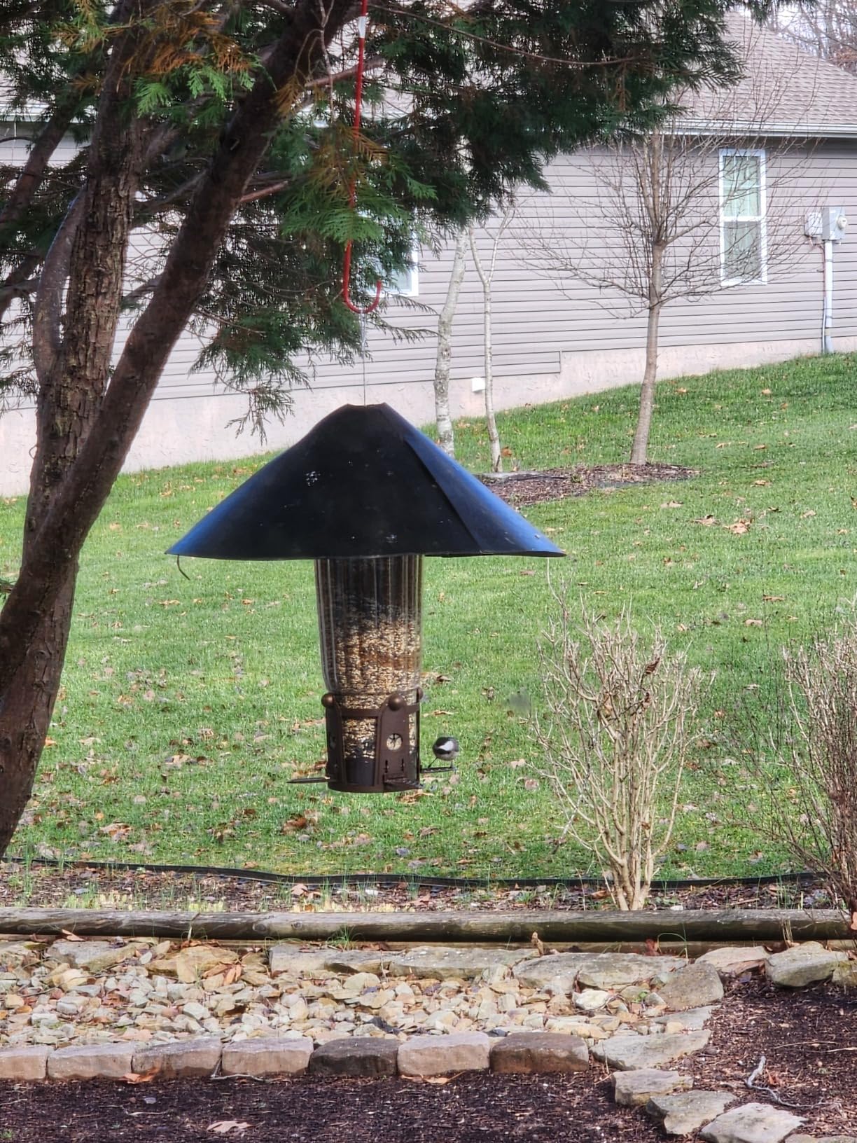 Perky-Pet Squirrel-Be-Gone Max Bird Feeder with (4) Flexport Feeding Stations - Squirrel-Proof Metal Hanging Feeder, Weight-Activated Ladder-Style Perches, 4lb Seed Capacity customer photo 1