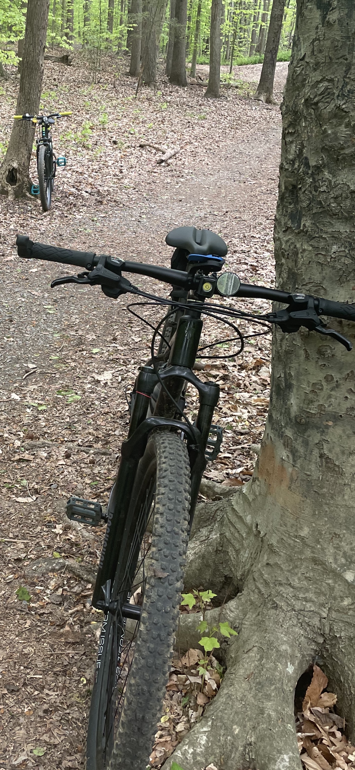 Judy Gold RL Suspension Fork - 29
